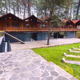 PINE TREE Mazamitla Hotel Boutique & Cabañas, hotel em Mazamitla