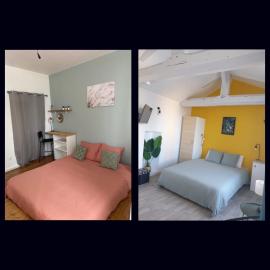 Chez Mary Studio -Jungle et Nature
