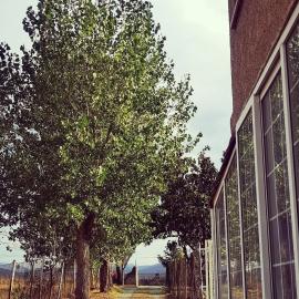 Agradable casa con jardín: Casasola