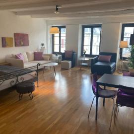 Joline private guest apartement Studio 45m2, hotell i Nidau