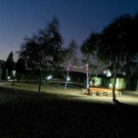 Camel Trek camp & Hostel
