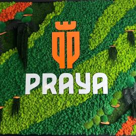 Praya Boutique, hotel Slatinában