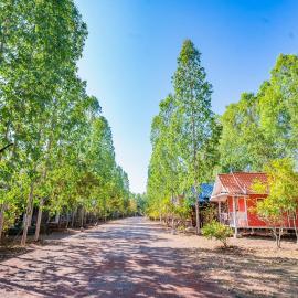 Baan Pak Wangthong、Ban Dungのホテル