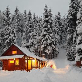 Chalet Woody