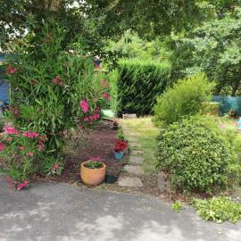 Appartement avec terrasse en lisière de forêt
