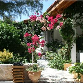Ampelos apartment and studios