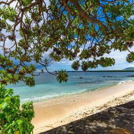 Beachfront Tamarin Villa