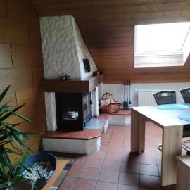 Aussergewöhnliche Atelierferienwohnung mit Balkon an der Donau