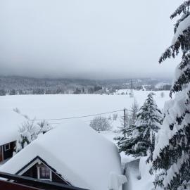Apartman Suhi vrh, hotel in Ravna Gora