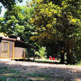 Cabin at the cove at Watauga Lake, hotel in Butler