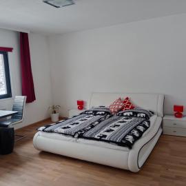 Dachstein Apartments، فندق في اوبرترون