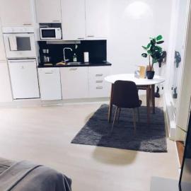 New Studio Mint near Airport, Hotel in Vantaa