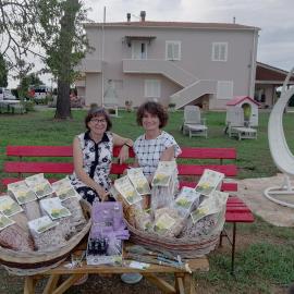 Agriturismo Susanna e Atria, Hotel in Bibbona