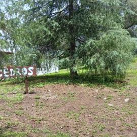 Los Cedros、コルドバのホテル