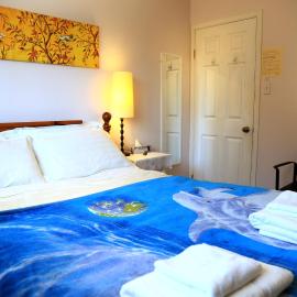 Jenny Guest House, viešbutis mieste Jelounaifas
