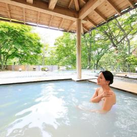 Hotel Shikisai, hotel di Nikko