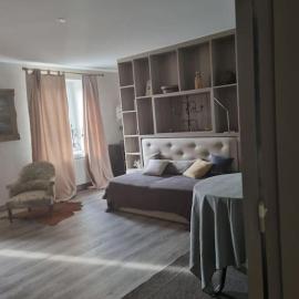 L'Ourse, Epinal,très bel appartement quartier Port