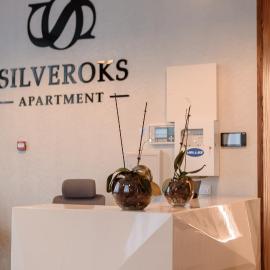Prilimanskoye에 위치한 호텔 Silveroks Apartment