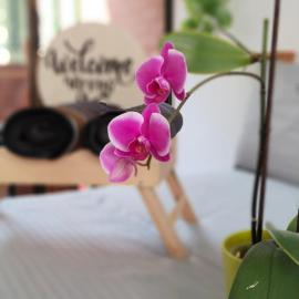 Moradia Laureles Medellin, Hotel in Medellín