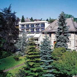 Rüters Parkhotel, hotell i Willingen
