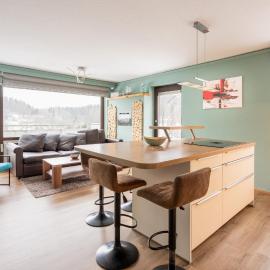 Penthouse Falkennest