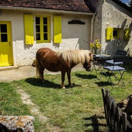 Gîte de la Lioterie, hotel a Maillet