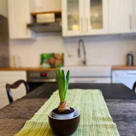 Lily-Rose Cottage، فندق في Vastorf