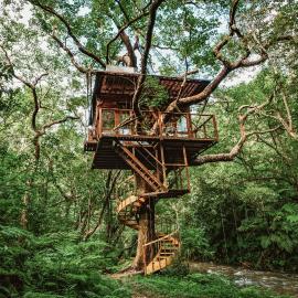 나고에 위치한 호텔 Treeful Treehouse Sustainable Resort Okinawa