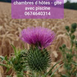 Au Chardon Bleu, hotel in Nesle
