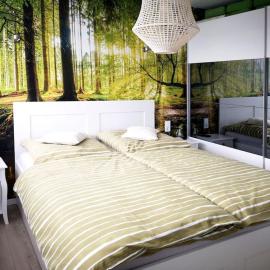 Haus JULIA direkt am Hennesee mitten im Sauerland, hotel in Meschede