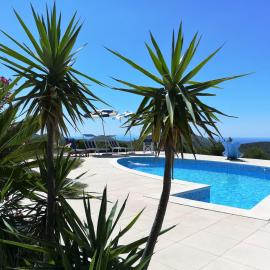 Saha tourist accommodation among olive trees and sea view
