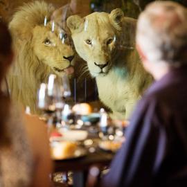 Jamala Wildlife Lodge, hotel v mestu Canberra
