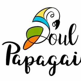 Pousada Soul Papagaio - lofts completos a 30 metros do mar
