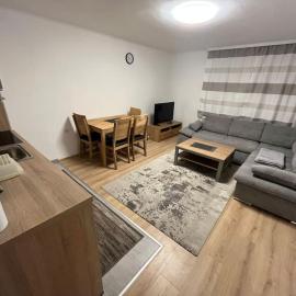 Hüttau Apartment 1