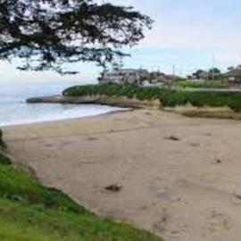 Relaxing 3 bedroom Santa Cruz house, 5min to beach