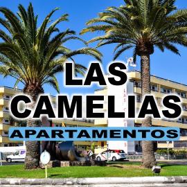 Las Camelias Apartments, hotel in Playa del Ingles
