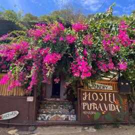 Pura Vida Hostel, hotel a Montezuma
