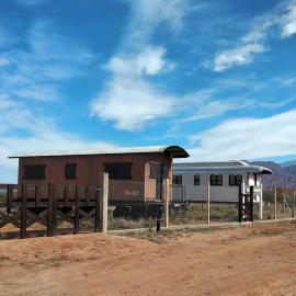 Tren Del Desierto