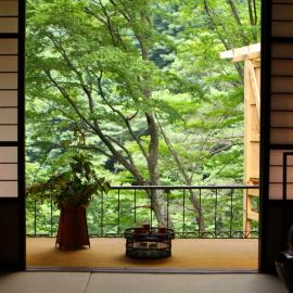 Fukeikan 風景館, hotel Takajamában