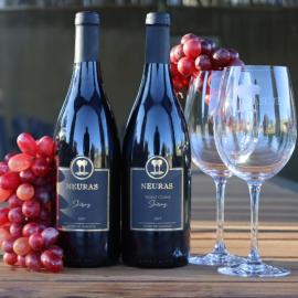 Neuras Wine and Wildlife Estate, hotel in Naukluft Mountains