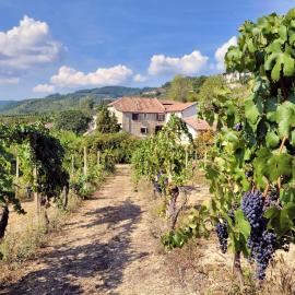 Appartamento Dolcetto in Cascina Marenco Langhe Country House