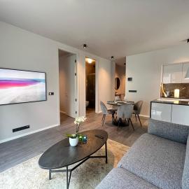 Modern Apt in Central Reykjavík