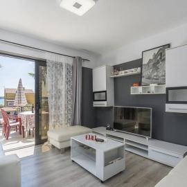 Apartment Zak
