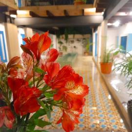 Hotel Pepen, hotel sa San Cristóbal de Las Casas