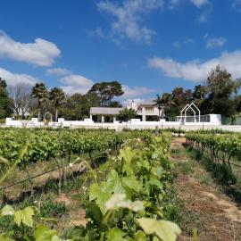 DuVon Farmhouse, hotel en Robertson