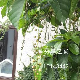 Green 58 B&B