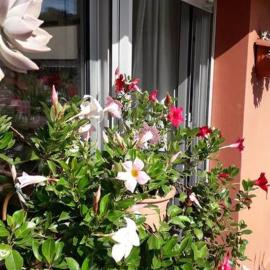 La casa di Teri a Chiavari