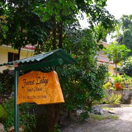 Forest Lodge, Hotel in Bel Ombre