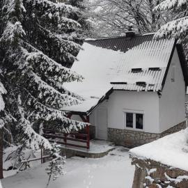 Sova Kopaonik