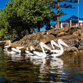 Reflections Massy Greene - Holiday Park
